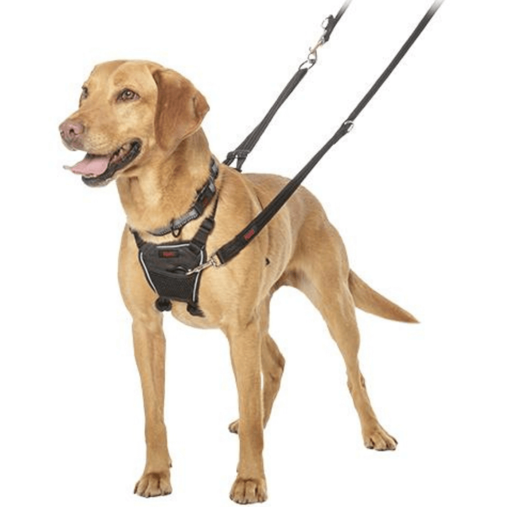 Halti shop harness small