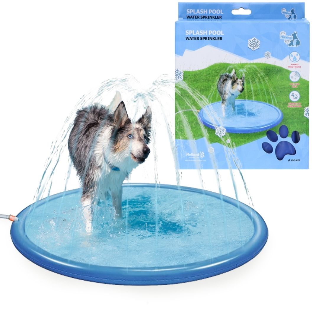 Motion sensor hotsell sprinkler for dogs