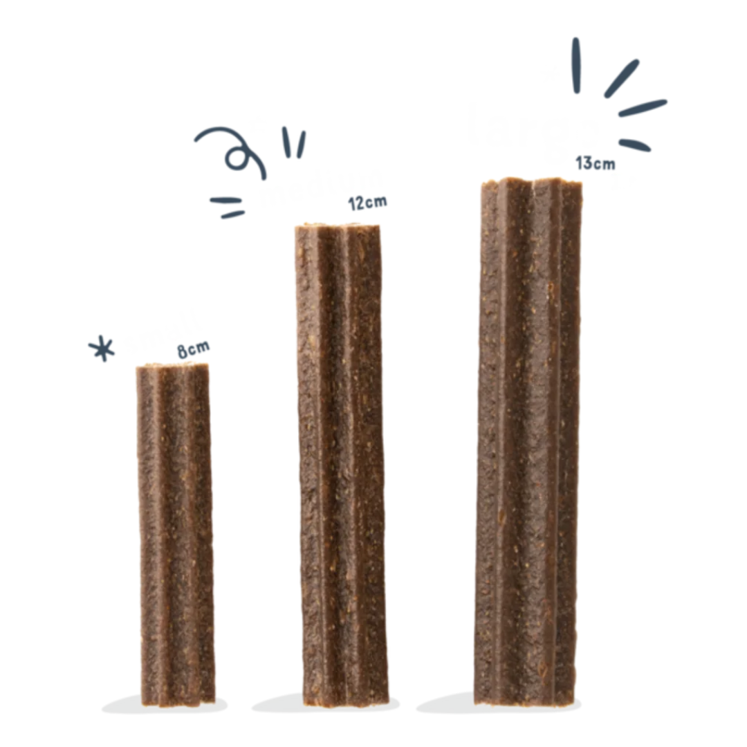 Mint dental shop sticks for dogs